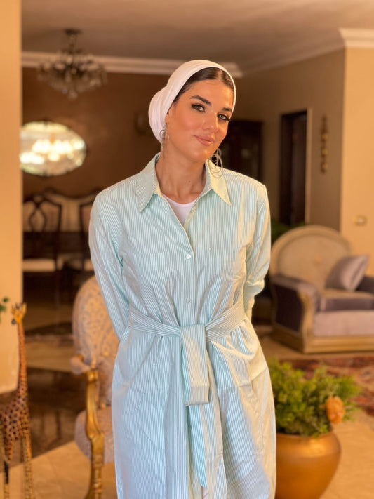 Mint Oxford Shirt Dress